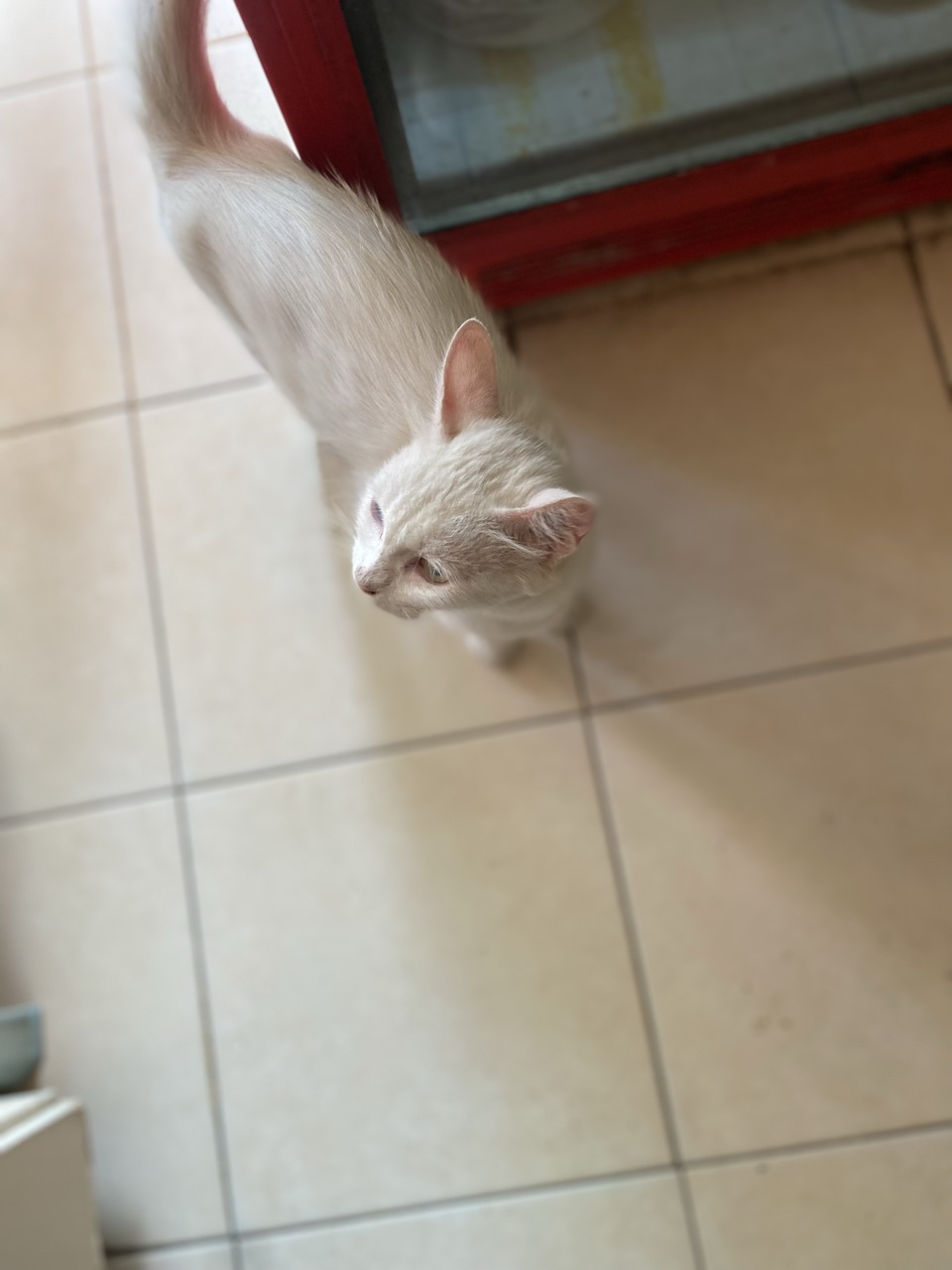 Test